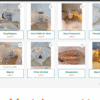 SnowEffect – Image 5